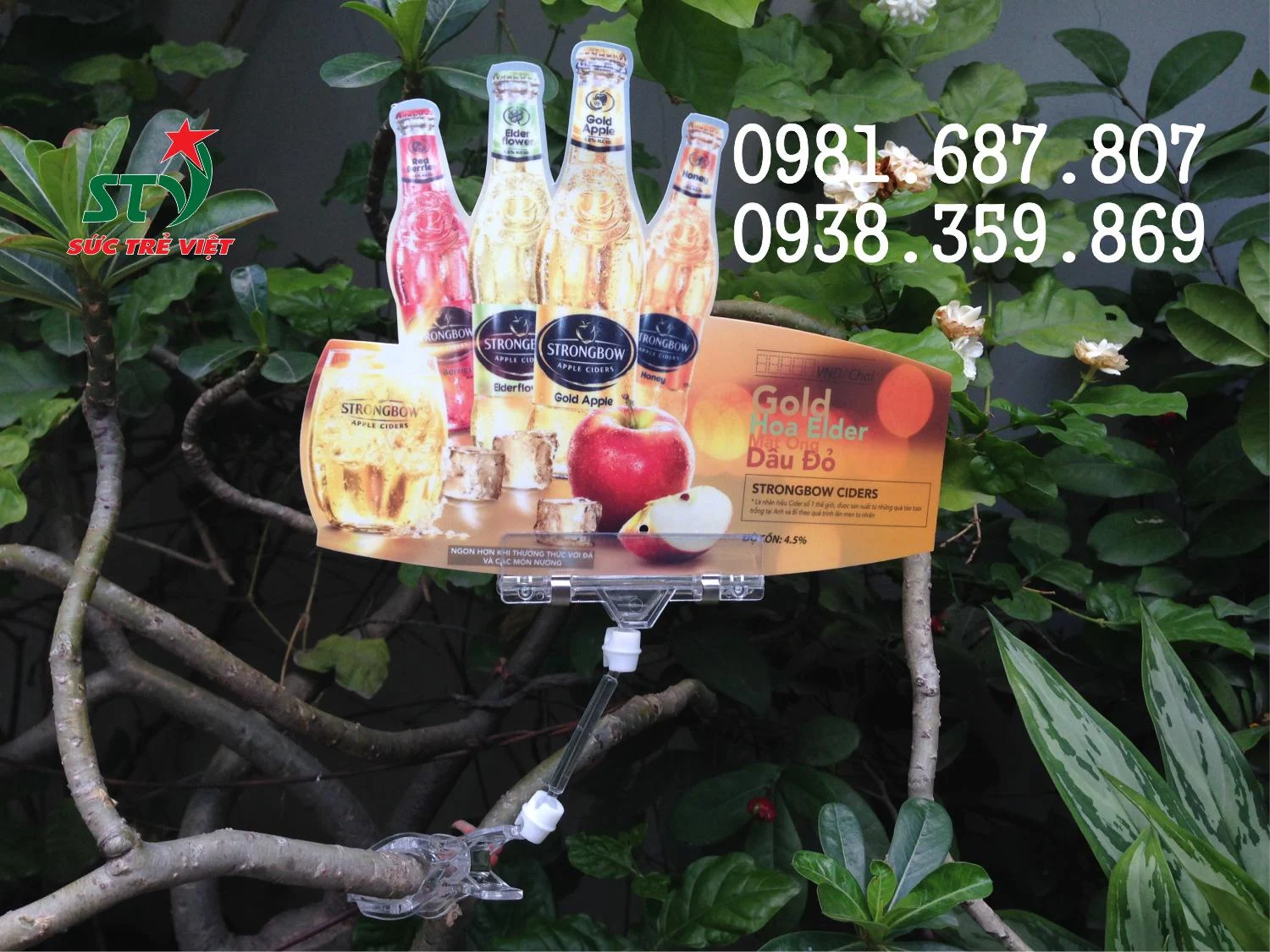 Kẹp mica 2 đầu STV51