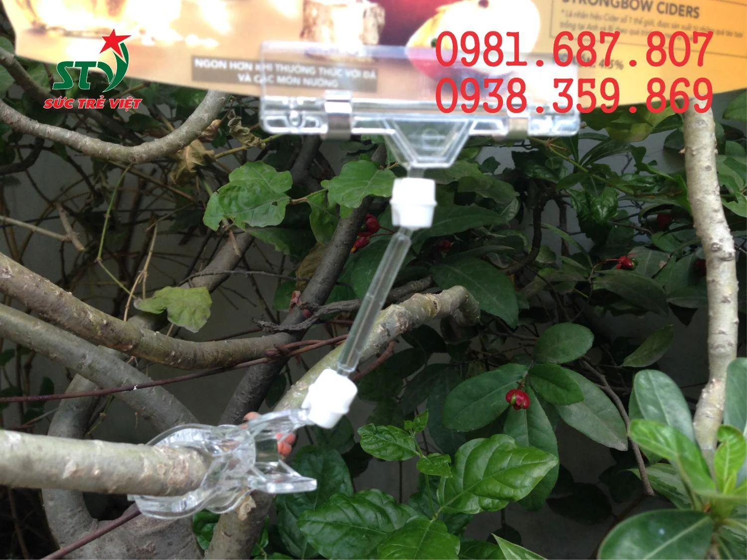 Kẹp bảng giá mica STV51