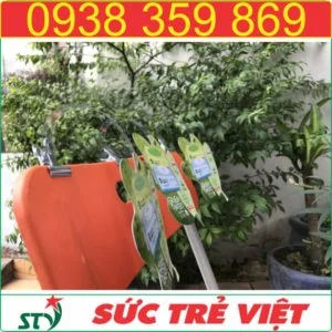 Kẹp thân nhựa STV68