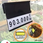 Ảnh 1